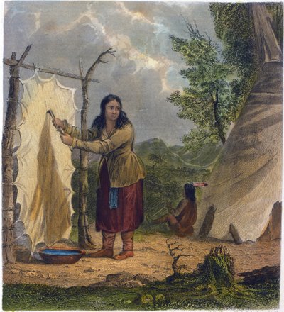 Büffelhaut, 1853 von Captain Seth Eastman